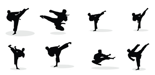 vector illustration of karate martial arts silhouette
