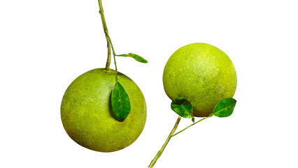 Pomelo fruit with stem and leaves separated on Transparent background.