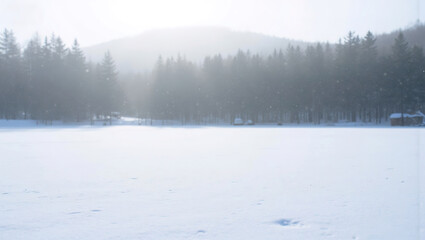 Snowy Forest Landscape