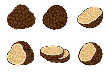 Black truffle vector logo on white background