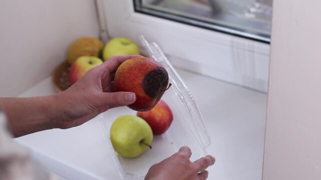 A person holding a rotten apple with mold and dark spots, showing food spoilage and waste. Concept of quality control, unhealthy product and consumer inspection.