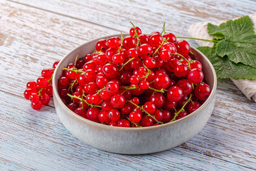 Raw ripe sweet juicy red currant