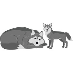 Two Gray Wolves One Lying Down One Standing Side By Side Digitally Rendered With A Transparent Background