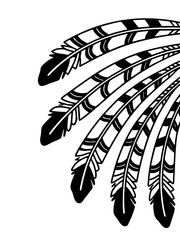 Minimilist stylized feathers arranged in a curved pattern with alternating solid and striped sections design element vector