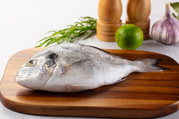 Raw fresh uncooked dorada fish
