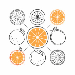 Illustration of various citrus fruits and slices in black and orange lines on a white background with a mix of filled and outlined drawings.