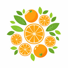 Flat lay illustration of oranges and leaves arranged in a circular pattern on a white background with vibrant colors.