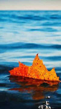 A captivating close-up perspective showcases a singular, vivid orange autumn leaf gracefully floating and drifting across the gently rippling surface of pristine blue water. Tiny, glistening water dro