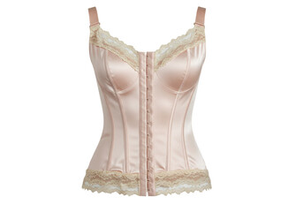 Isolated bodice with shoulder straps and lace trim a light pink-beige corset garment lingerie