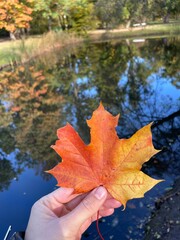Autumn park landscape with lake and reflection in water