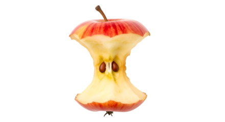 Bitten Apple Core with Seeds fruit food