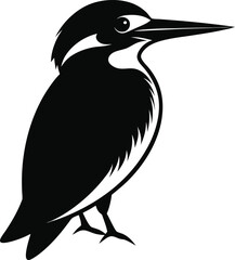 Obraz premium kingfisher silhouette