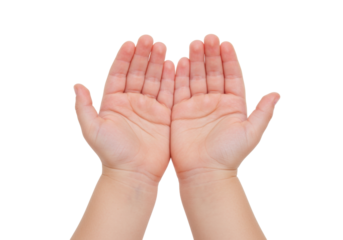 Isolated hands of a young child cupped upwards, fingers extended, pink fleshy human skin