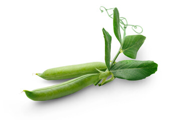 Fresh green peas with leaves