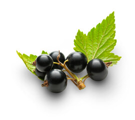 Fresh black currant with leaves