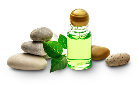 Stones, leaves and shampoo bottles - Powered by Adobe