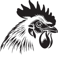 Vector of a Rooster Cock Poultry Bird