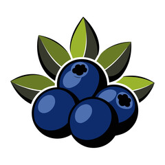 Blueberry Cluster Silhouette