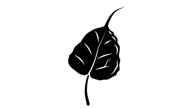ficus religiosa leaf, black isolated silhouette