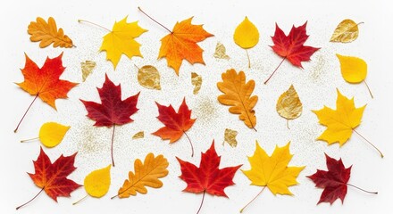 Fototapeta premium Colorful Assortment of Autumn Leaves on White Background for Seasonal Inspiration