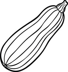 zucchini vector art