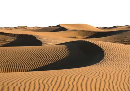 Stunning desert landscape with rolling sand dunes, golden light, and textured sandscape, perfect for backgrounds and overlays isolated on transparent background