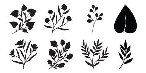 Collection of Black Silhouette Botanical Illustrations on White Background