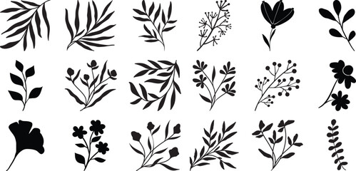 Collection of Black Silhouette Botanical Illustrations and Floral Elements