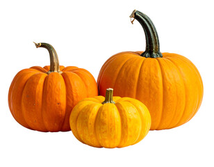 Obraz premium Three orange gourds on black