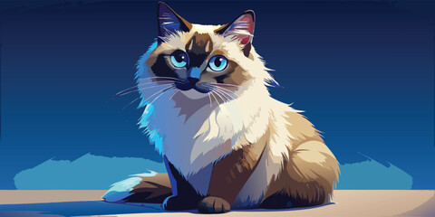 Ragdoll cat sitting calmly against a dark blue background, perfect for education book or postcard