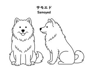 サモエドの全身 線画イラストセット（ベクター）