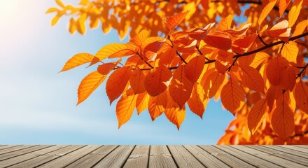 Vibrant autumn leaves in warm hues fill the frame, casting a cozy glow. A wooden deck provides a smooth contrast, inviting you to appreciate the beauty of changing seasons.