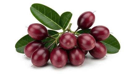 Cluster of fresh red olives with green leaves on white background