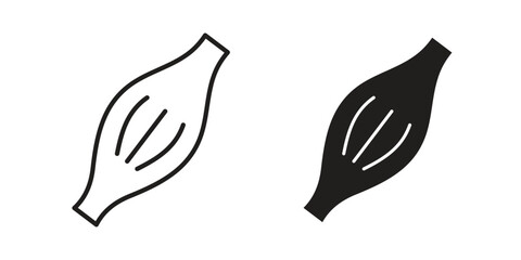 Muscle fiber icon vector with glyph style. Stroke liner icons
