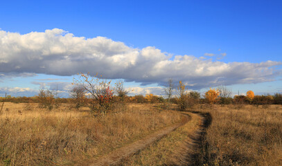 dirt road in autumn steppe