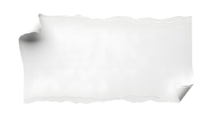Obraz premium White torn paper banner with curled edges and ripped border over transparent background