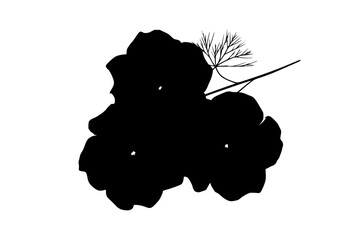 Three Radiant Petunias Black White Symphony | Clean, isolated vector art for creative projects.