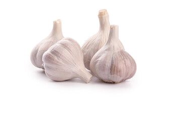 Fresh Shandong Farm Garlic Bulbs Isolated on White Background for Cooking and Culinary Use