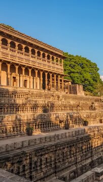 Vertical video: Camera panning revealing stepwell, pillars and large leafy tree at heritage site