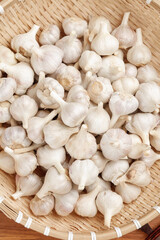 Fresh White Garlic Bulbs from Shandong Farmers in Traditional Bamboo Basket - Agricultural Produce