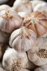 Fresh White Garlic Bulbs from Shandong China - Farmers Harvest Seeds for Cooking and Culinary Use