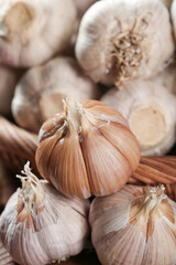 Fresh Shandong Garlic Heads with Seeds - Premium Quality Bulbs Close-Up