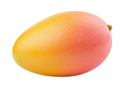 Isolated fresh mango fruit, close-up shot with gradient color, tropical healthy food concept