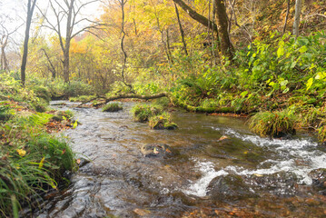 秋と渓流の流れ