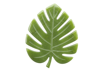 Isolated Tropical Monstera Leaf for Fashion Jewelry Design, Olive Green, Glossy Look