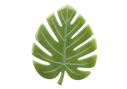 Isolated Tropical Monstera Leaf for Fashion Jewelry Design, Olive Green, Glossy Look