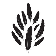 Detailed majestic feather collection, Clean minimal vector silhouette