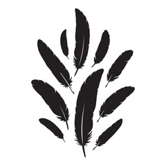 Detailed majestic feather collection, Clean minimal vector silhouette