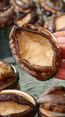 Fresh Abalone Shell Interior Close-up - Gourmet Seafood Ingredient with Natural Holes and Pearl Surface