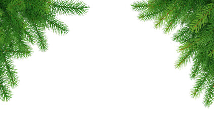 Festive evergreen boughs framing the upper corners with isolated transparent emptiness